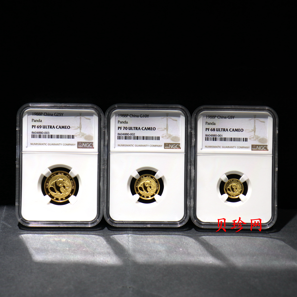 【889080】1988年熊猫精制金币五枚一套
