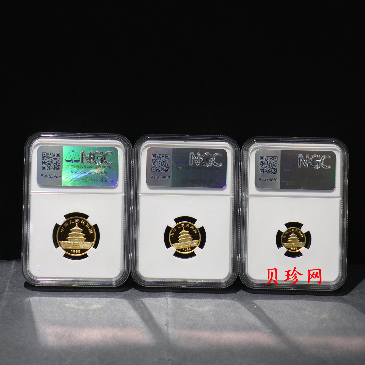 【889080】1988年熊猫精制金币五枚一套