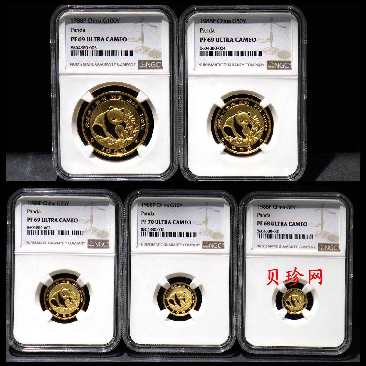 【889080】1988年熊猫精制金币五枚一套