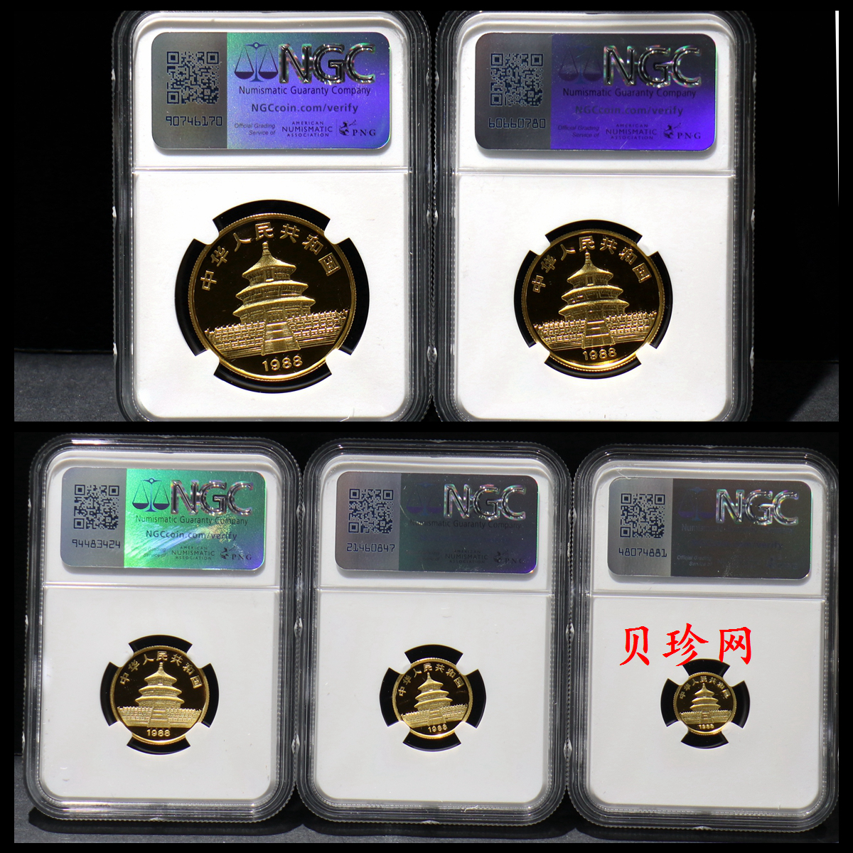 【889080】1988年熊猫精制金币五枚一套
