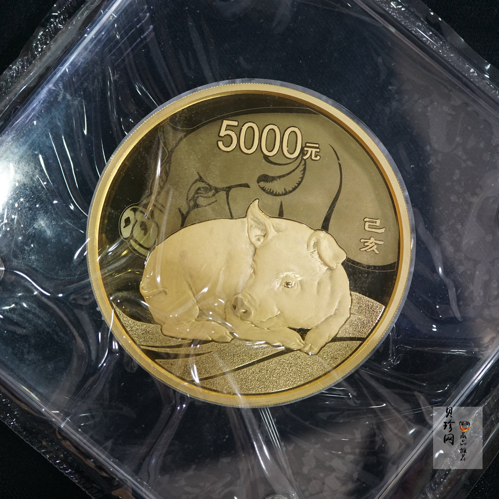 【191120】2019中国己亥（猪）年金银纪念币500克圆形金币
