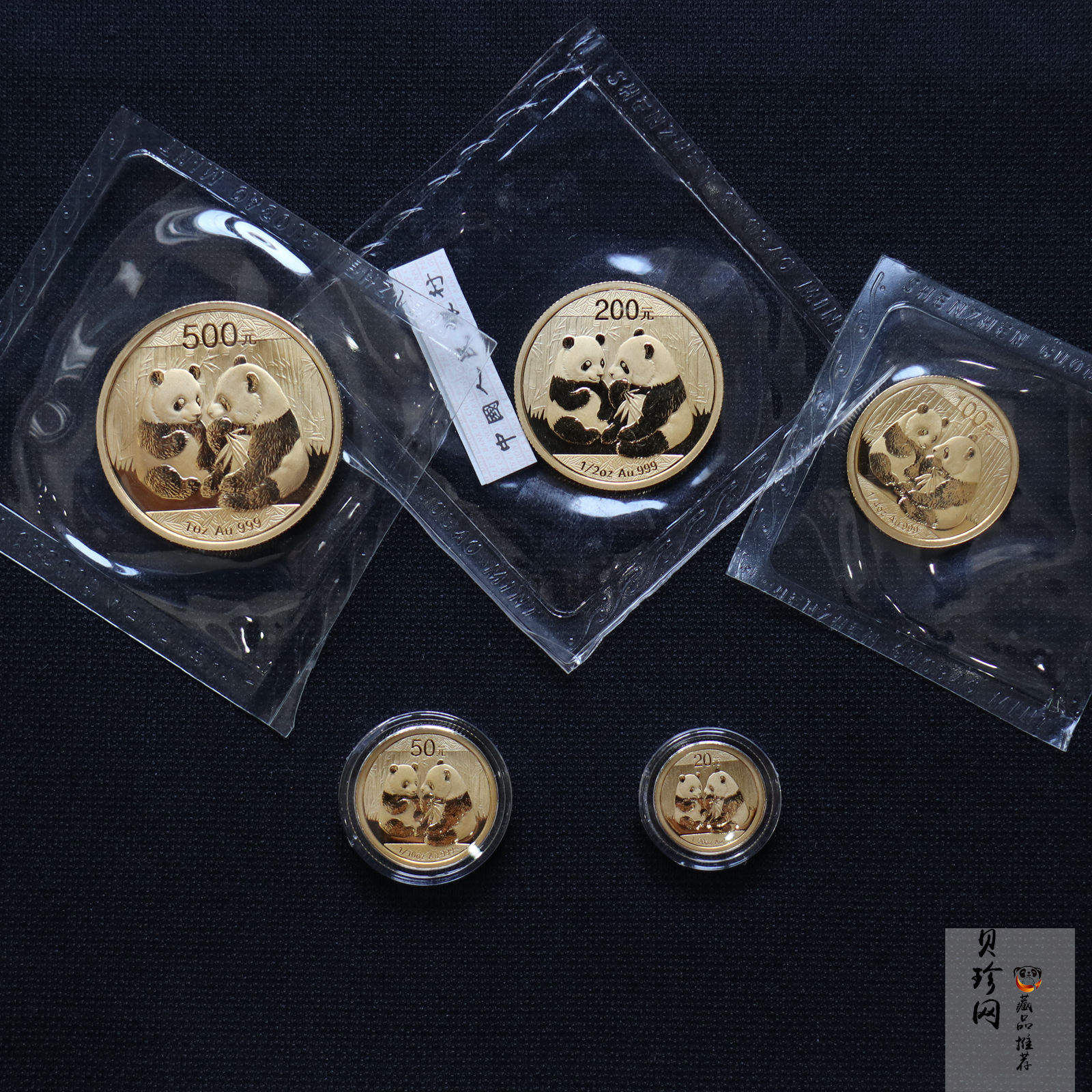 【099050】2009年熊猫普制金币5枚一套