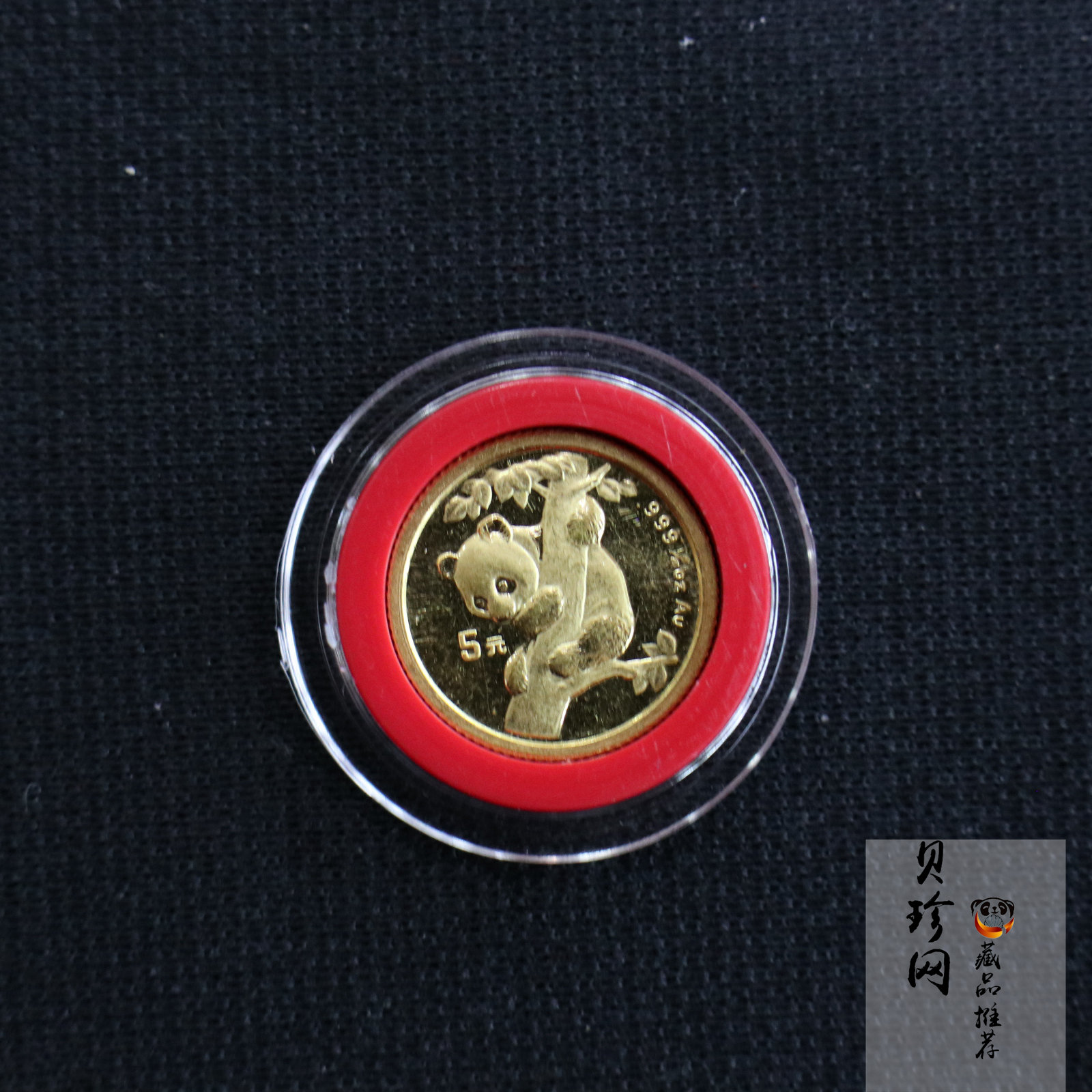 【960211】1996年熊猫1/20盎司普制金币