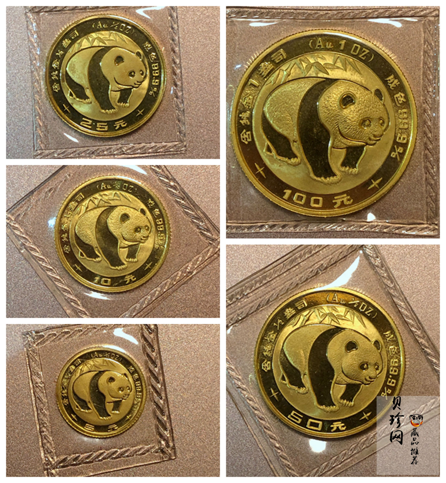 【839030】1983年熊猫普制金币五枚一套