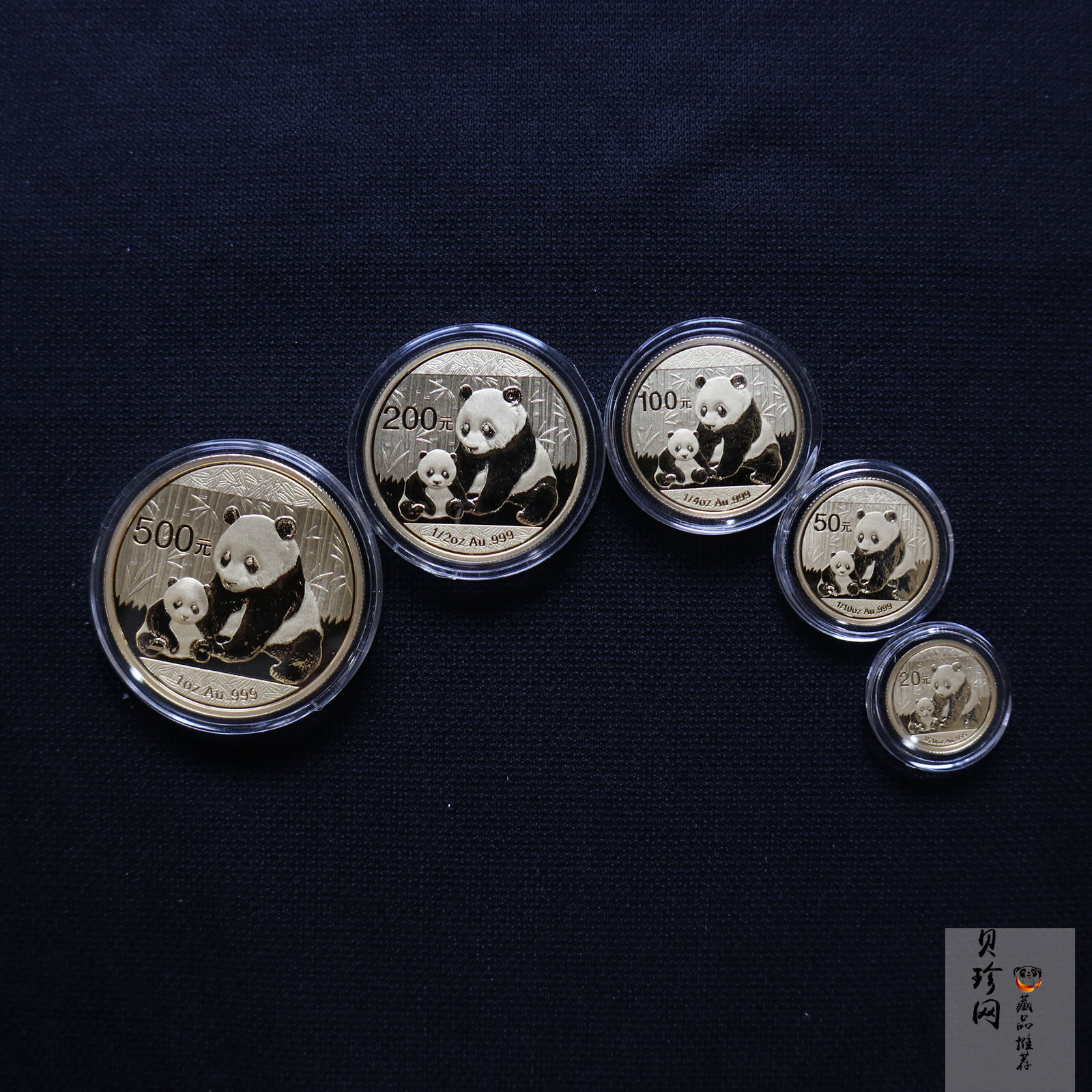 【129050】2012年熊猫普制金币5枚一套