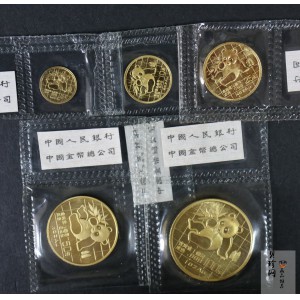 【899010】1989版熊猫普制金币五枚一套