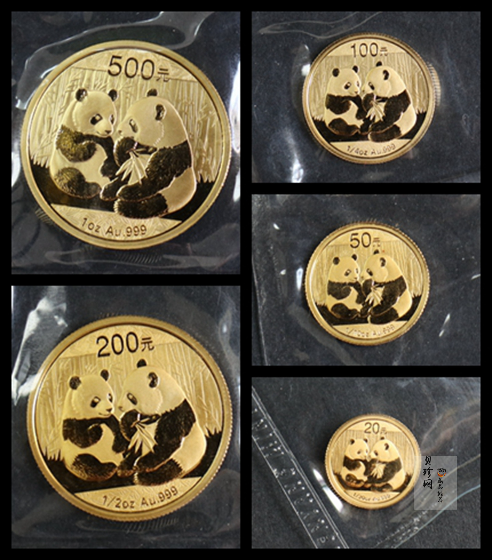 【099050】2009年熊猫普制金币5枚一套