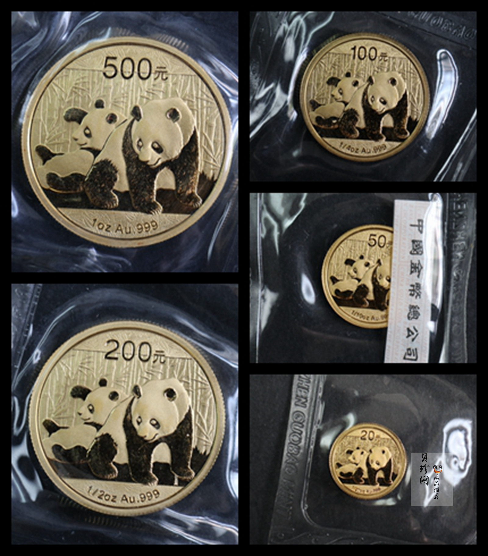 【109050】2010年熊猫普制金币5枚一套