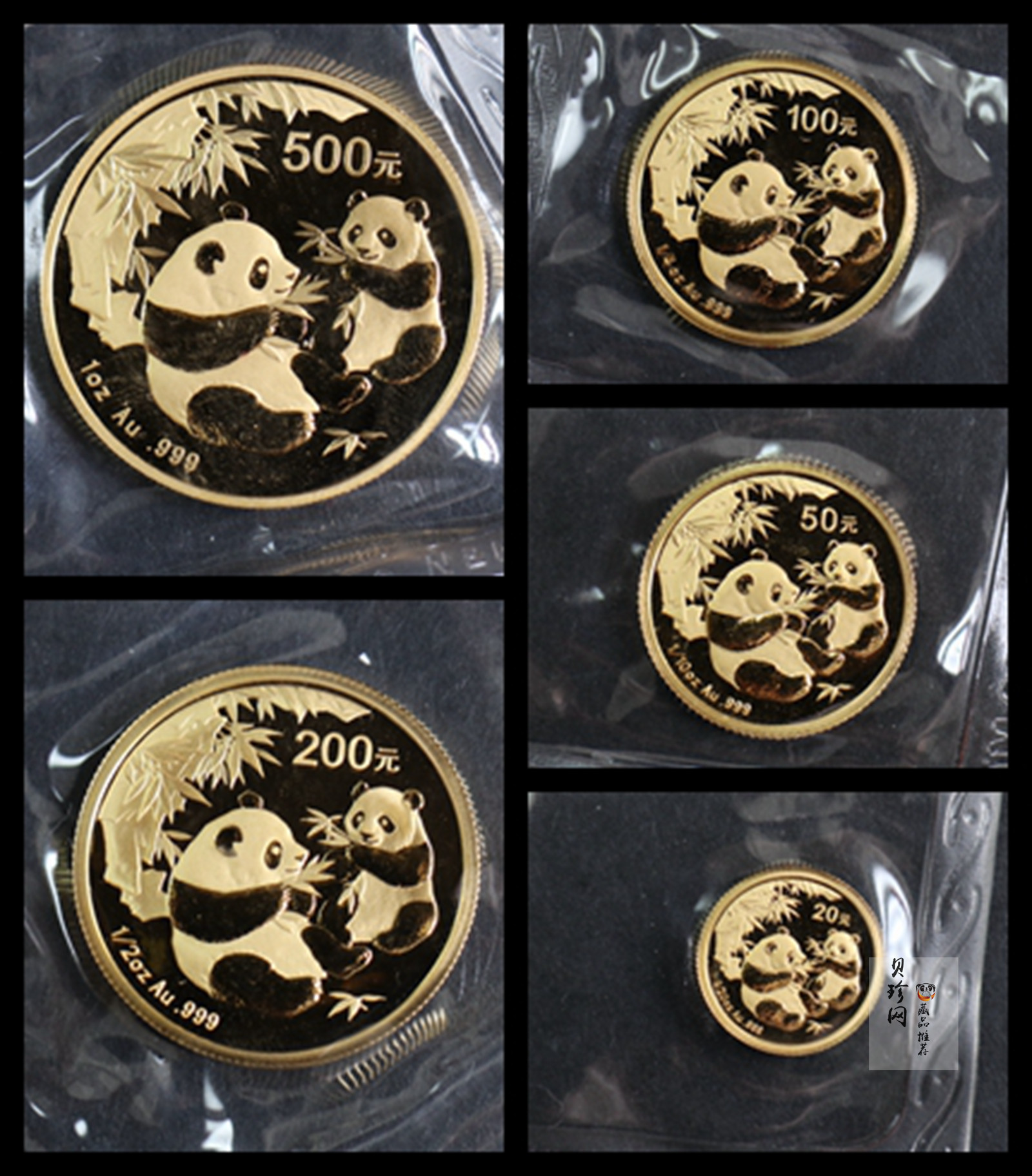 【069050】2006年熊猫普制金币5枚一套