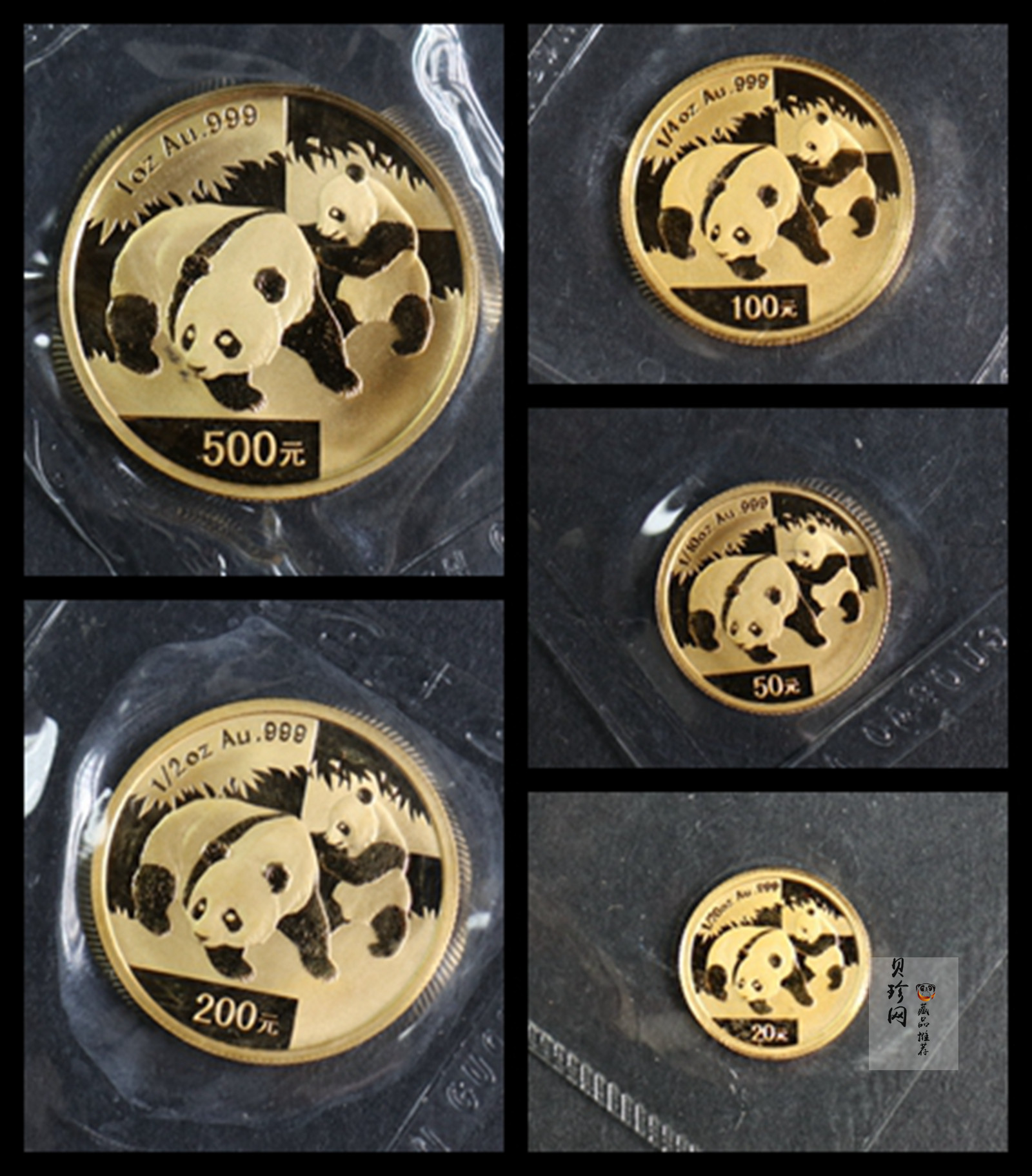 【089050】2008年熊猫普制金币5枚一套