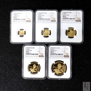 【989330】1998年熊猫普制金币5枚一套