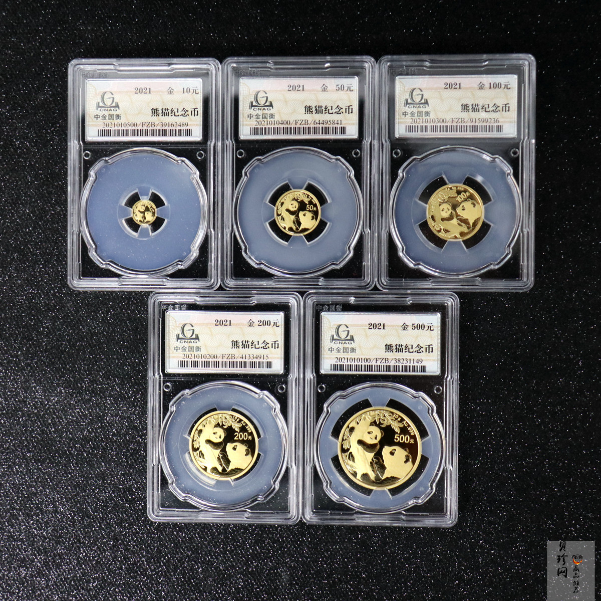 【219150】2021年熊猫普制金币5枚一套