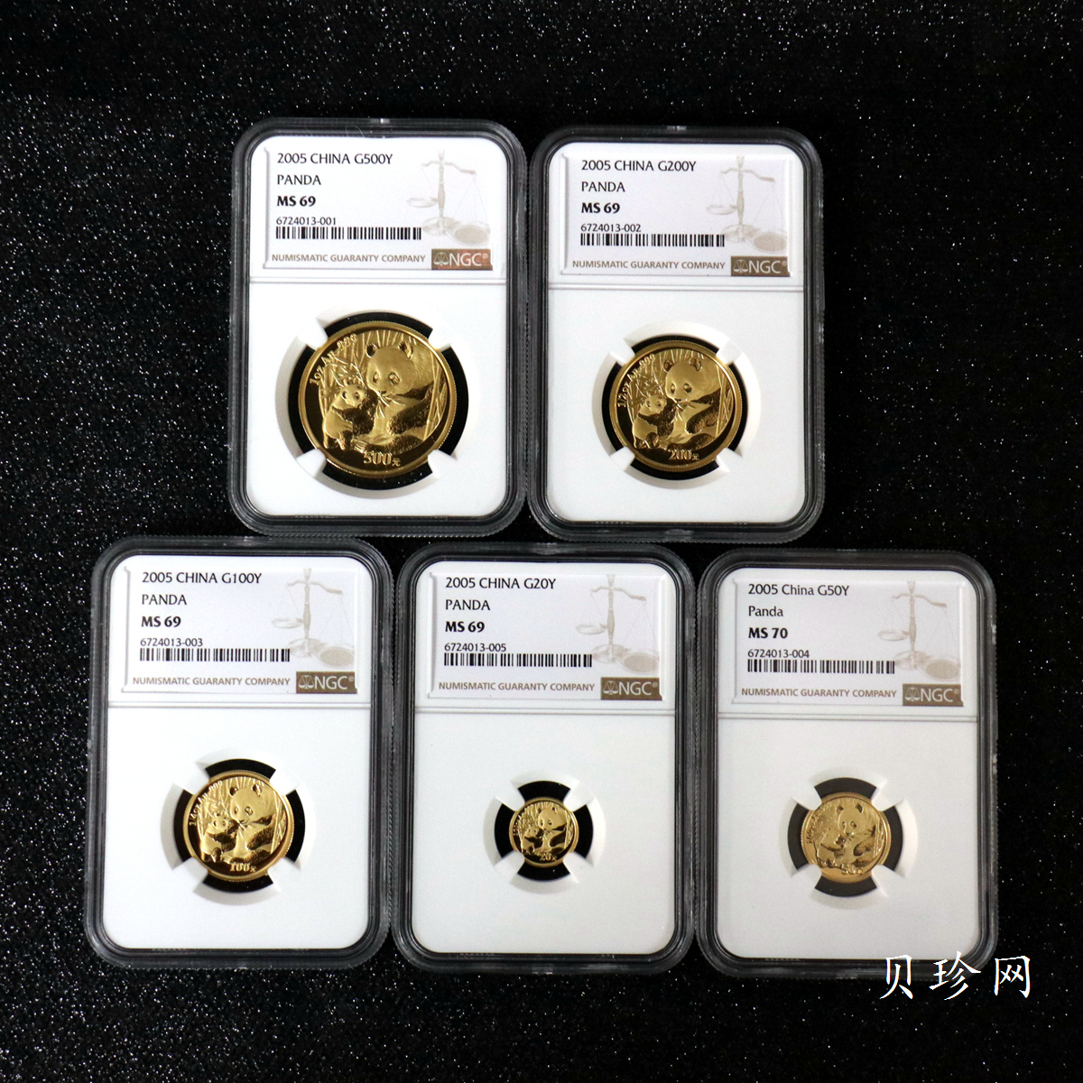 【059040】2005年熊猫普制金币5枚一套