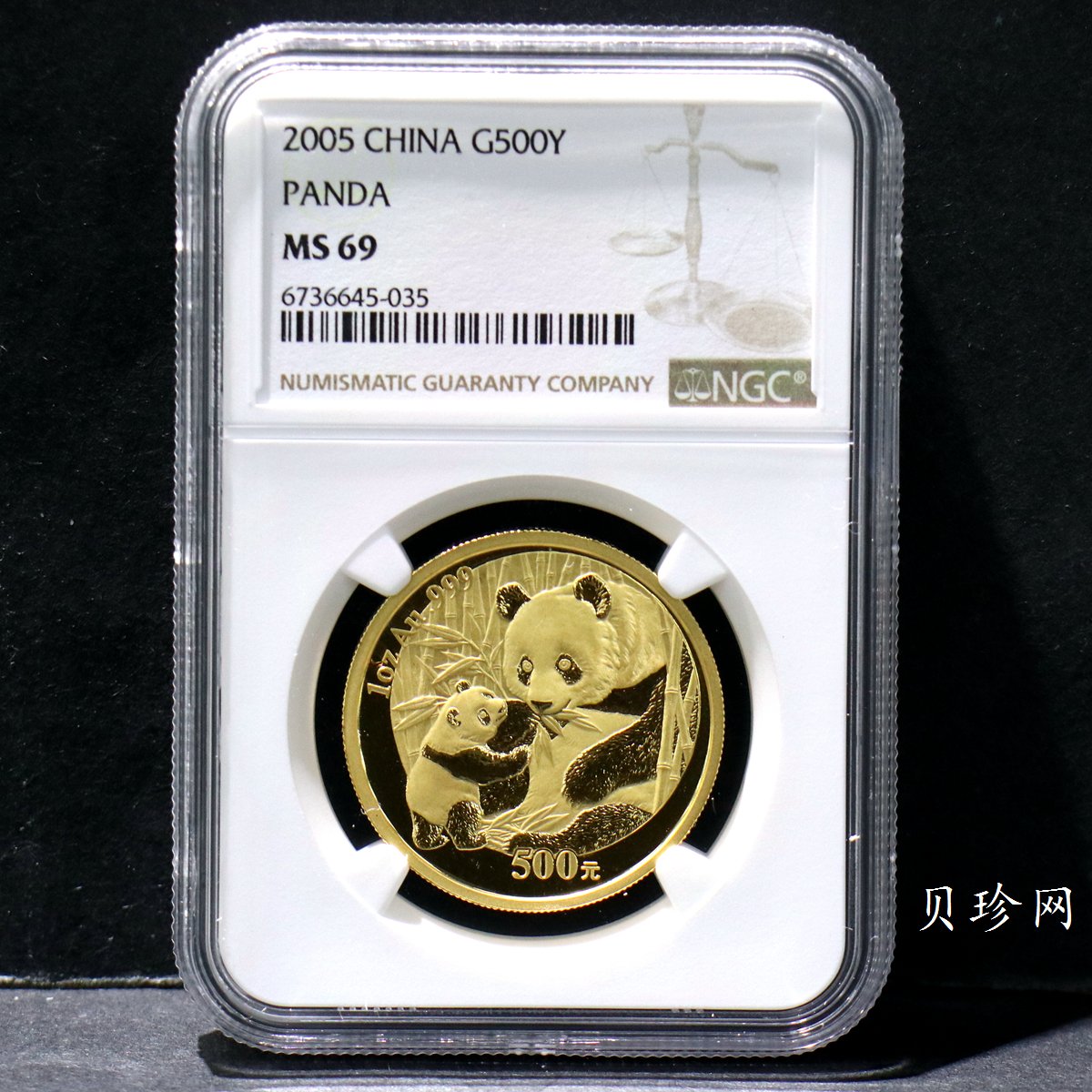 【050101】2005年熊猫1盎司普制金币