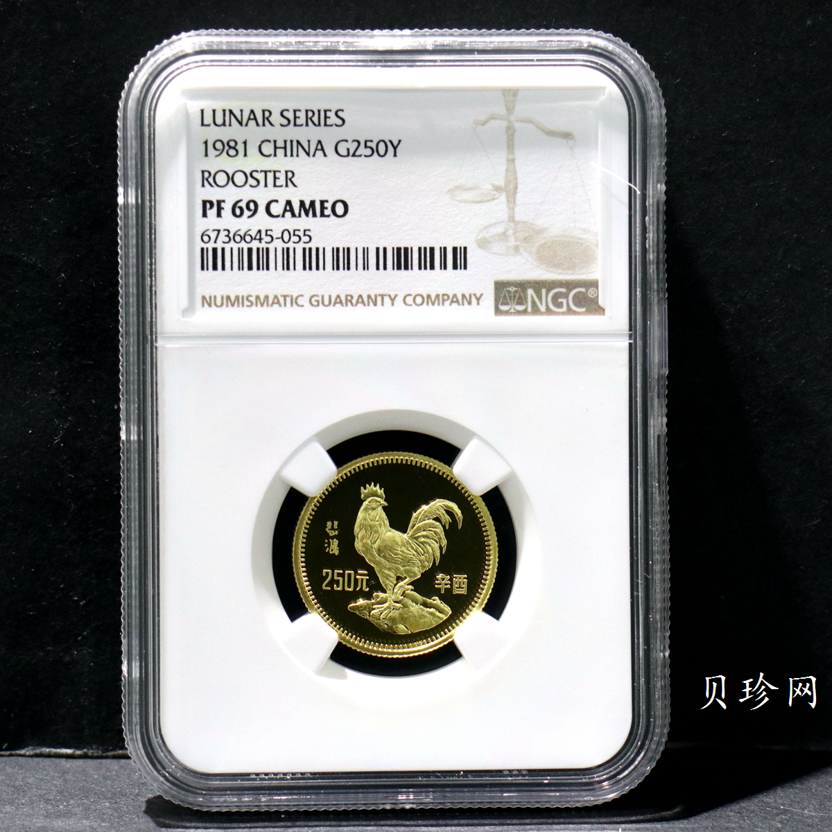 【810101】1981中国辛酉（鸡）年-雄鸡图8克精制金币
