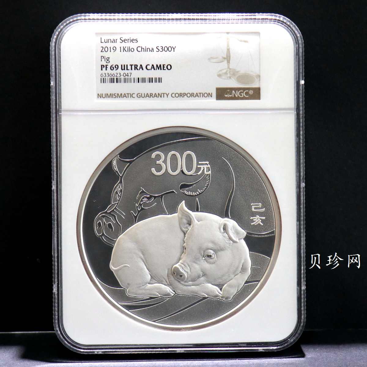 【191115】2019中国己亥（猪）年金银纪念币1公斤圆形银币