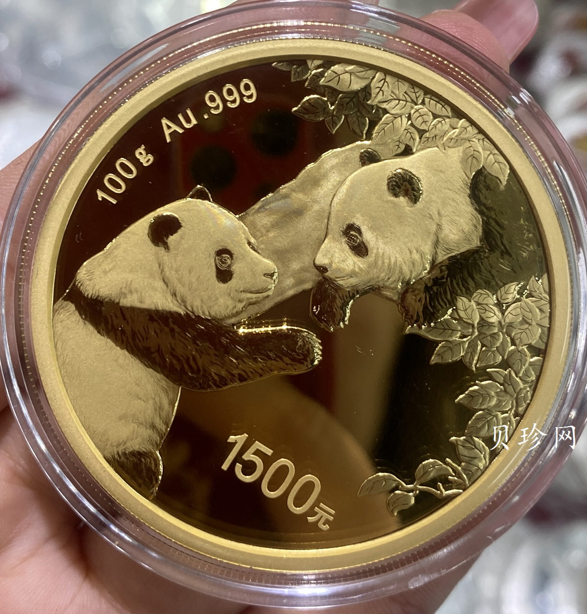 【230101】2023年熊猫100克精制金币
