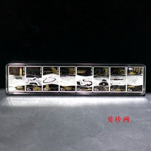 【259040】2025年大运河30克长方形银套币