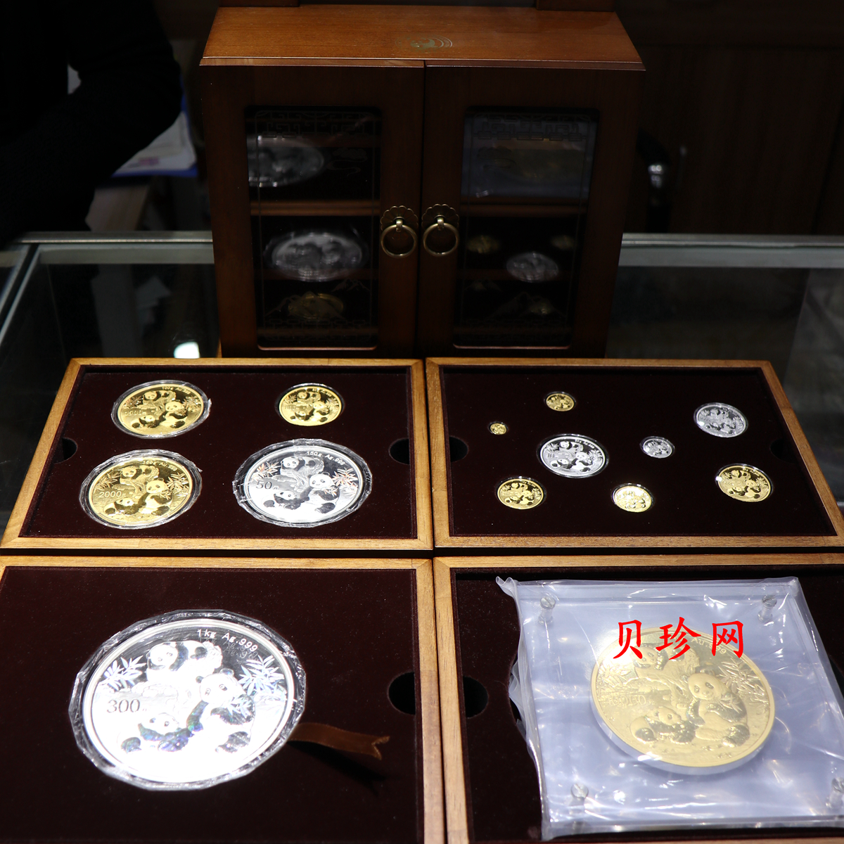 【249150】2025年熊猫金银币大全套